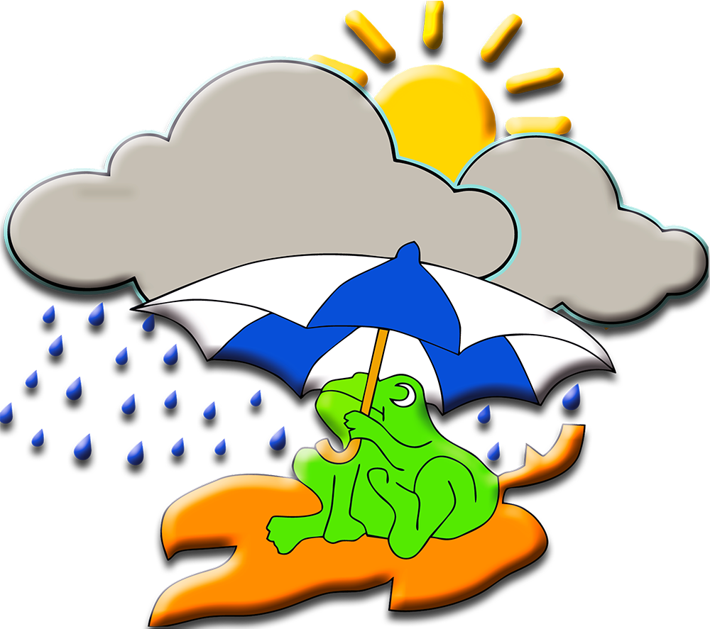Wetterfrosch Logo